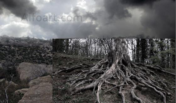 Dark landscape tutorial, mysterious, horror pictures and images, mystic, night, Ghost dog, Photo manipulations, digital art, collage, treasure, Mysterious tree