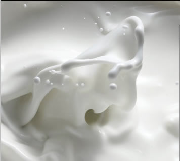 Học 1 4 Tạo Hình Quái Vật từ Sữa và Chocolate