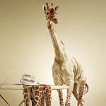 Undress a Giraffe in Photoshop