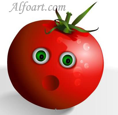 tomato plash