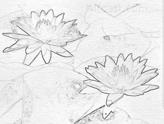 WHITE Notebook STYLE for web site design