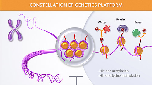 Constellation Epigenetics Platform