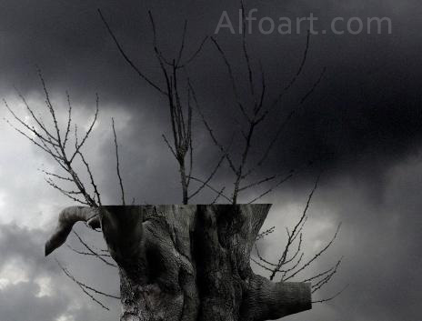 Dark landscape tutorial, mysterious, horror pictures and images, mystic, night, Ghost dog, Photo manipulations, digital art, collage, treasure, Mysterious tree