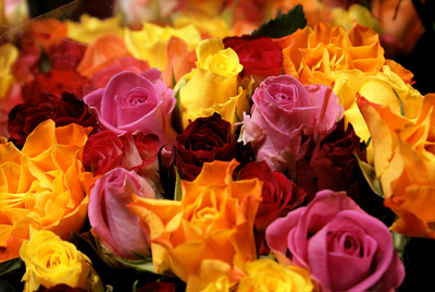 Photoshop Roses bouquet splash effect for image